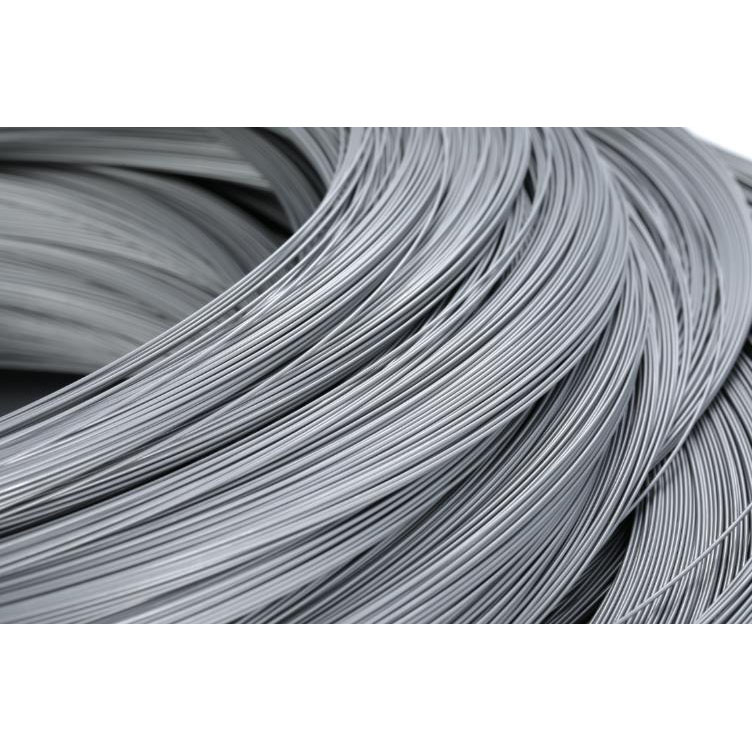 Fil d'acier inoxydable SUS304L